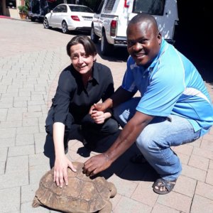 Office disinfection and sanitization service in Fourways